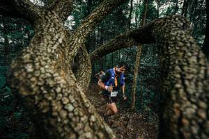 BIB: 
                            <button type="button" onclick="openModal(25393204)" class="btn btn-primary btn-sm float-right btn-popup" data-toggle="modal" data-target=".modal-high-quality">
                        <i class="fas fa-shopping-cart"></i> Add to Cart
                    </button>
                                            <button type="button" onclick="isThisMe(25393204, true)" class="btn btn-success btn-sm float-right btn-popup btn-isme hidden" data-toggle="tooltip" data-placement="bottom" title="นี่คือรูปของคุณใช่ไหม คลิกที่นี่เพื่อเอาเข้าอัลบั้ม">
                        <i class="fas fa-plus"></i> Add to album
                    </button>
                    <button type="button" onclick="isThisMe(25393204, false)" class="btn btn-warning btn-sm float-right btn-popup btn-isnotme hidden">
                        <i class="fas fa-ban"></i> Remove from album
                    </button>